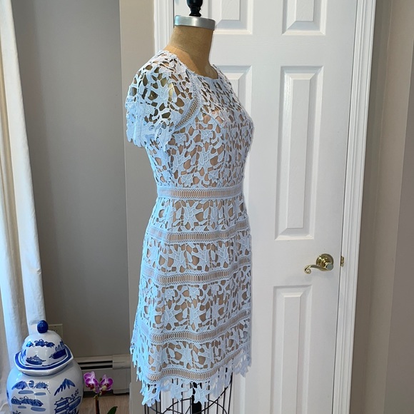 Eliza J Light Blue & Nude dress Size 6P - Picture 4 of 5